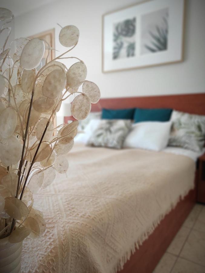 Lago Apartamenty I Pokoje Łeba Εξωτερικό φωτογραφία